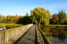 Brücke in Harburg Herbst